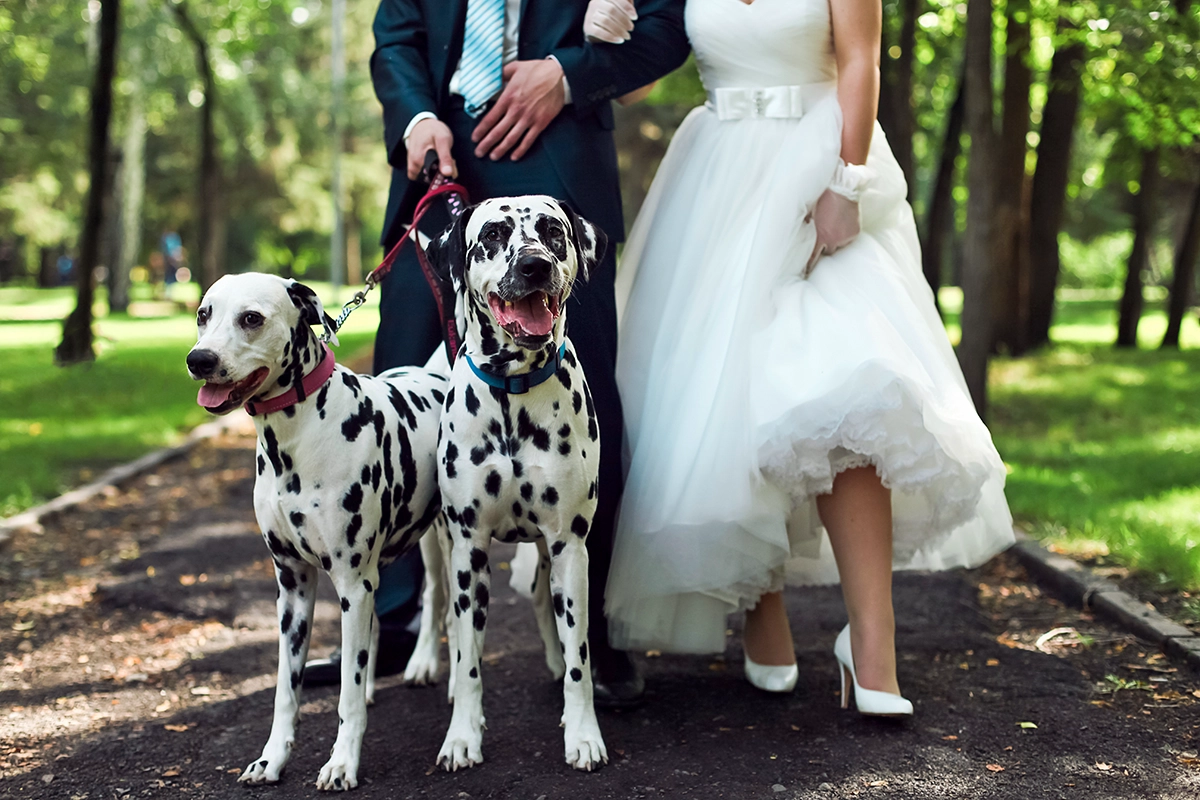 Your Month-by-Month Wedding Planning Checklist